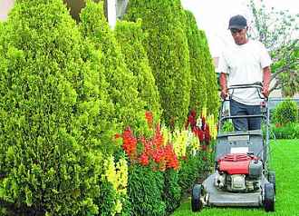 concurso de proyectos de paisaje y jardineria