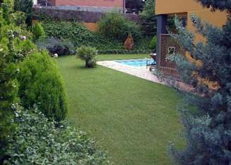 cursos de jardineria en rosario en vivero diseño verde