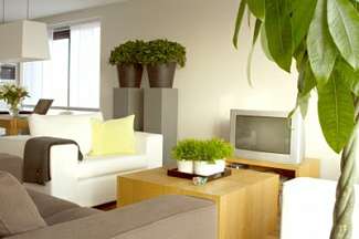 iluminacion de plantas de interior