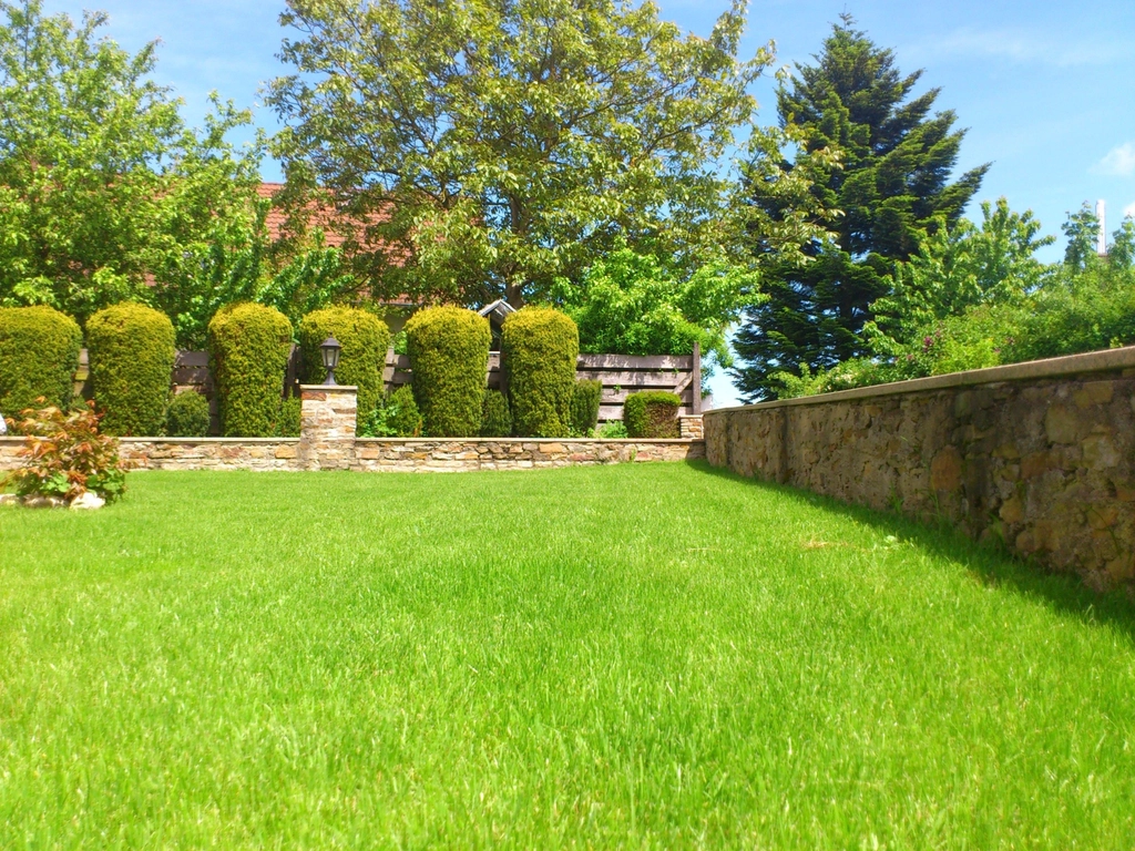 Jardín con césped cuidado, cercos vivos y canteros